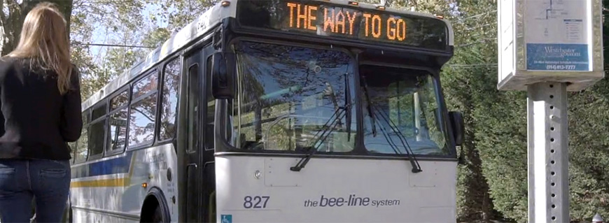 Latimer Announces Summer Freebie Bee-Line Bus Service