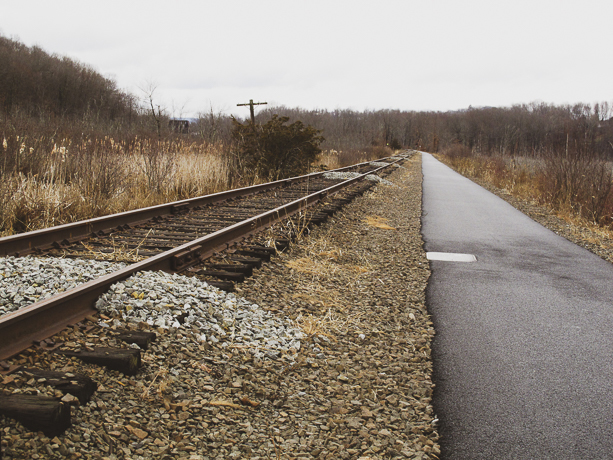 bike and rail trail with turtle crossing on tracks