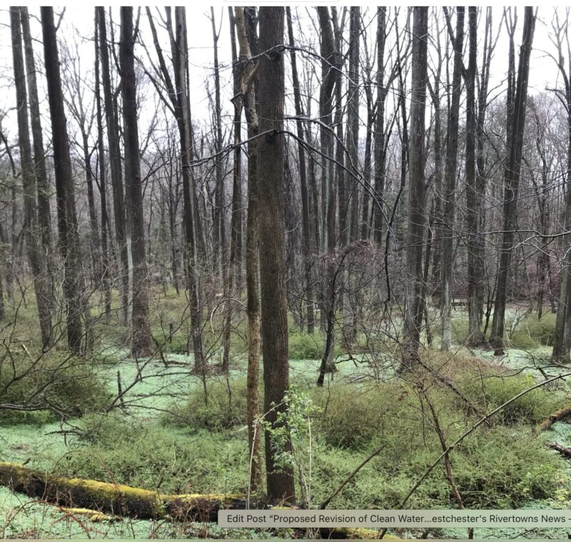 Proposed Revision of Clean Water Act Seen As A Threat to Drinking Water